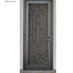 Modern Security Casting Door